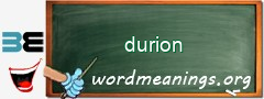 WordMeaning blackboard for durion